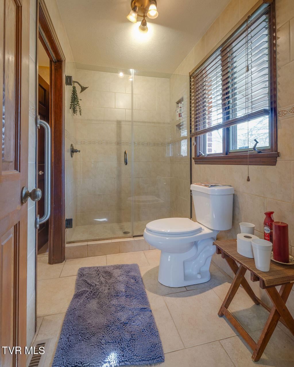 250 Hummingbird Lane Unicoi, TN 37692 - Photo 25 of 51 025
