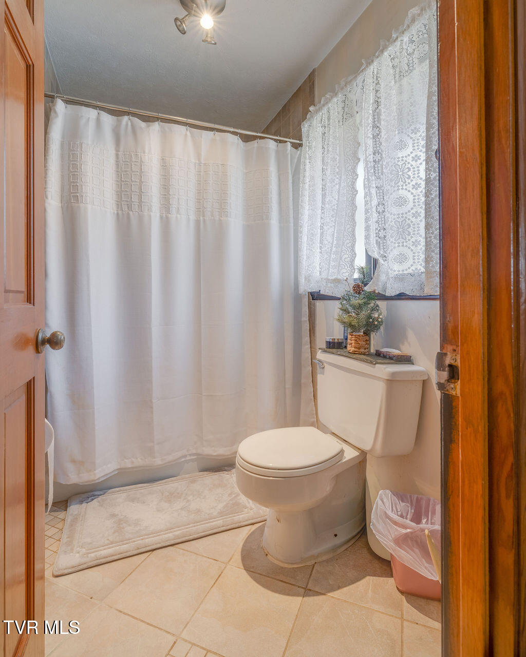 250 Hummingbird Lane Unicoi, TN 37692 - Photo 33 of 51 033