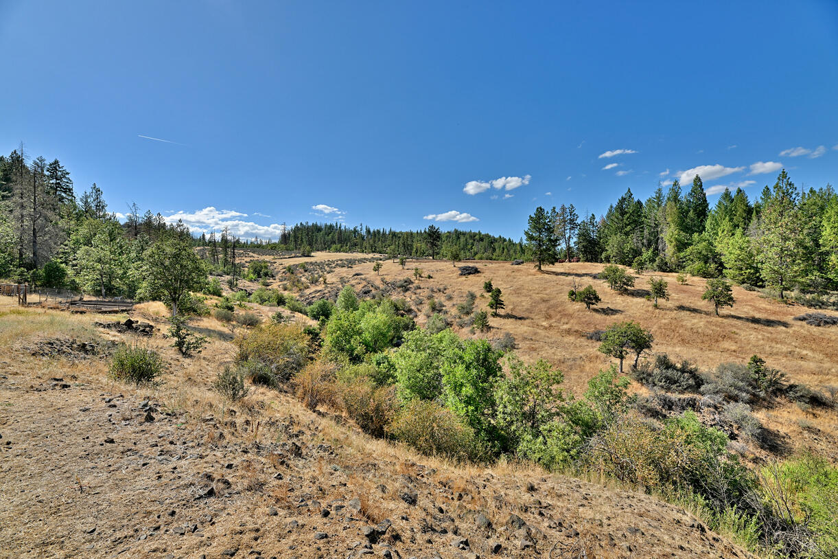 13388 Butte Falls Highway Eagle Point, OR 97524 - Photo 48 of 52 DSC_9270