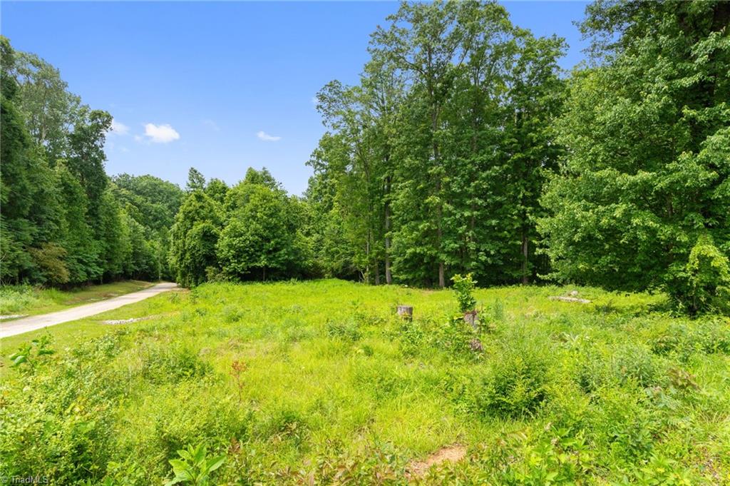 2595 Slate Road King, NC 27021 - Photo 8 of 15