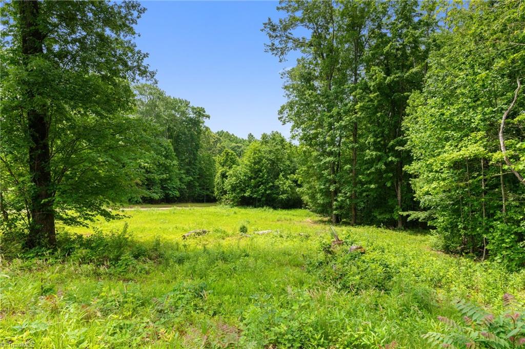 2595 Slate Road King, NC 27021 - Photo 9 of 15