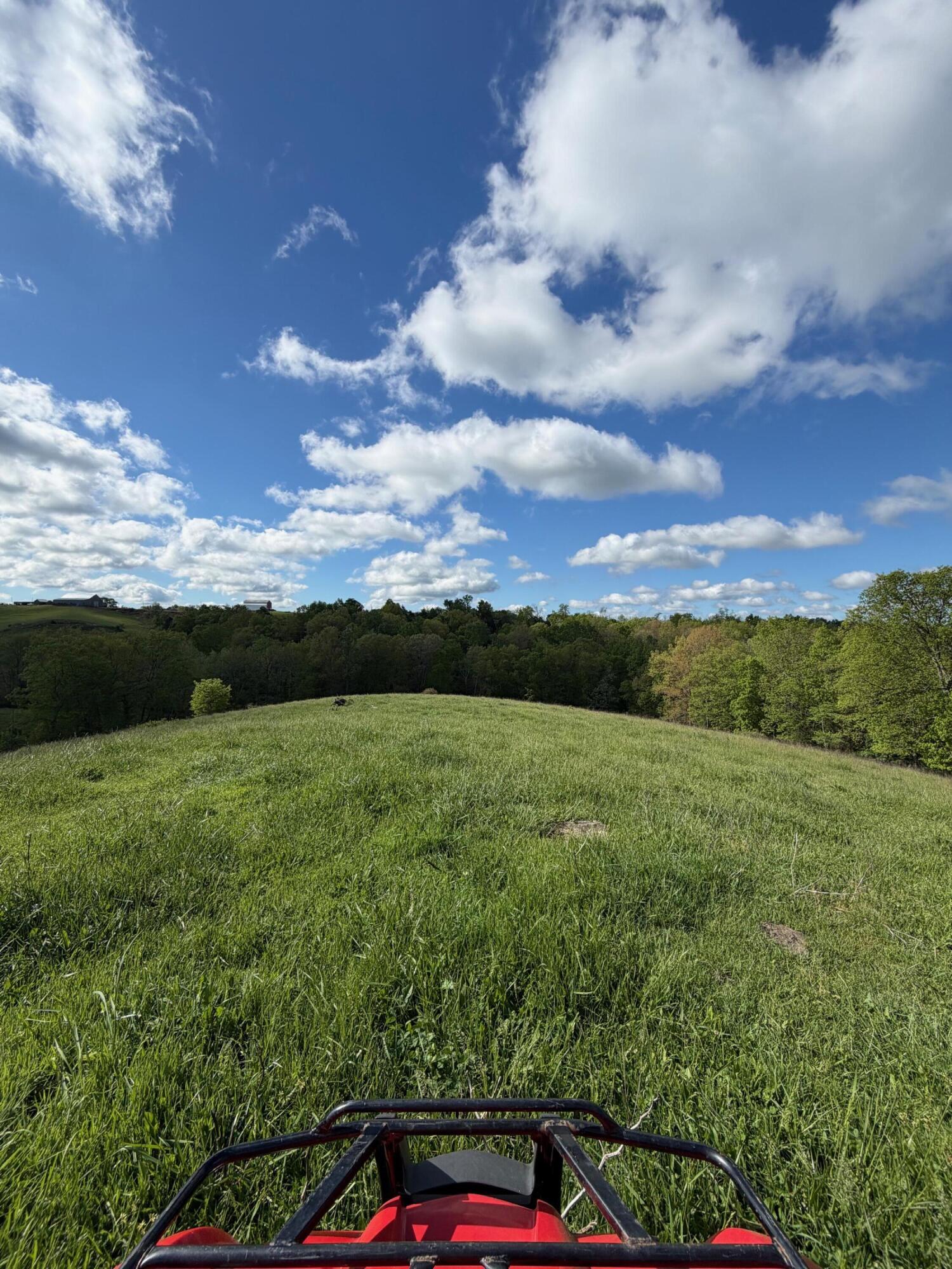 14.17-ac Chipman Ridge Road Williamstown, KY 41097 - Photo 8 of 18