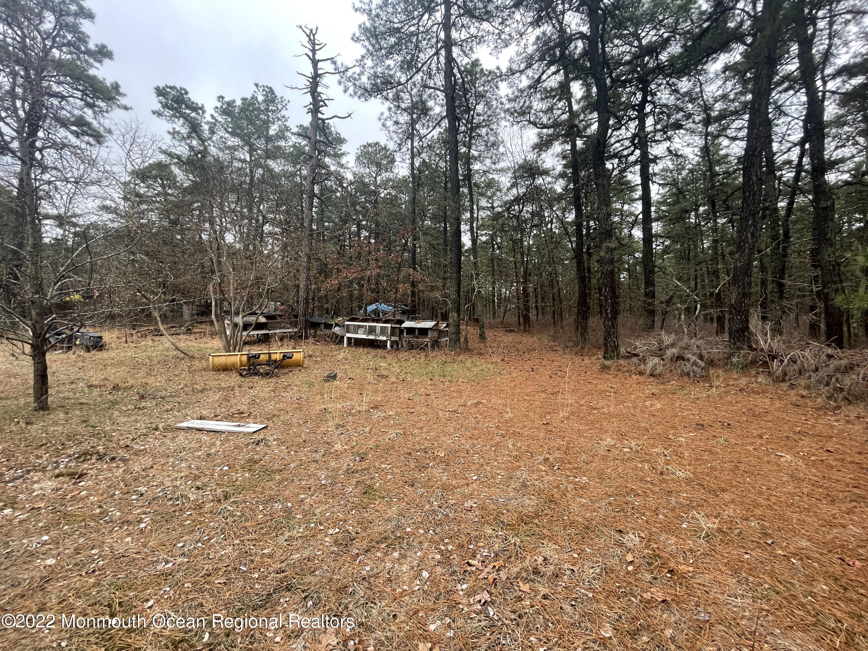 330 Ridge Road Browns Mills, NJ 08015 - Photo 23 of 33 a view of outdoor space with trees