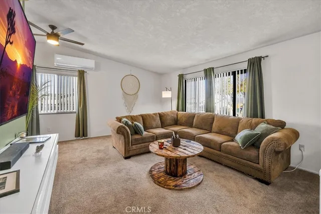 a living room with furniture a rug potted plant and a window