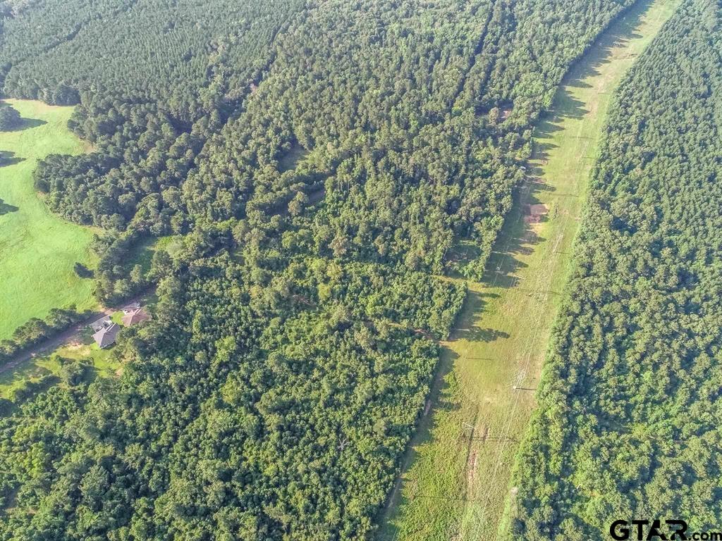 259 & Sego Lily Road Diana, TX 75640 - Photo 18 of 22