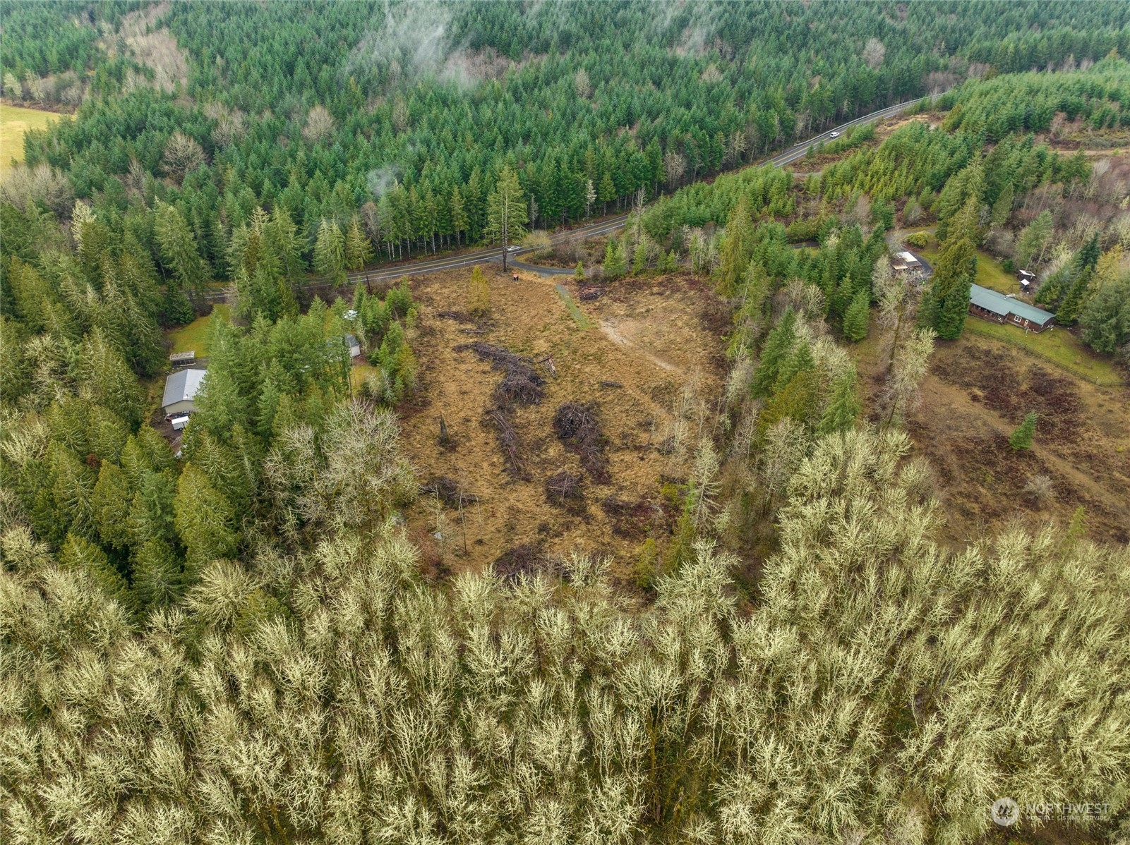 -xxx Centralia Alpha Road Chehalis, WA 98532 - Photo 4 of 7 a view of a forest with a tree