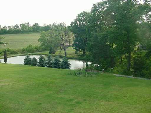 139 Ohare Road Canonsburg, PA 15317 - Photo 6 of 8 Yard/Garden.