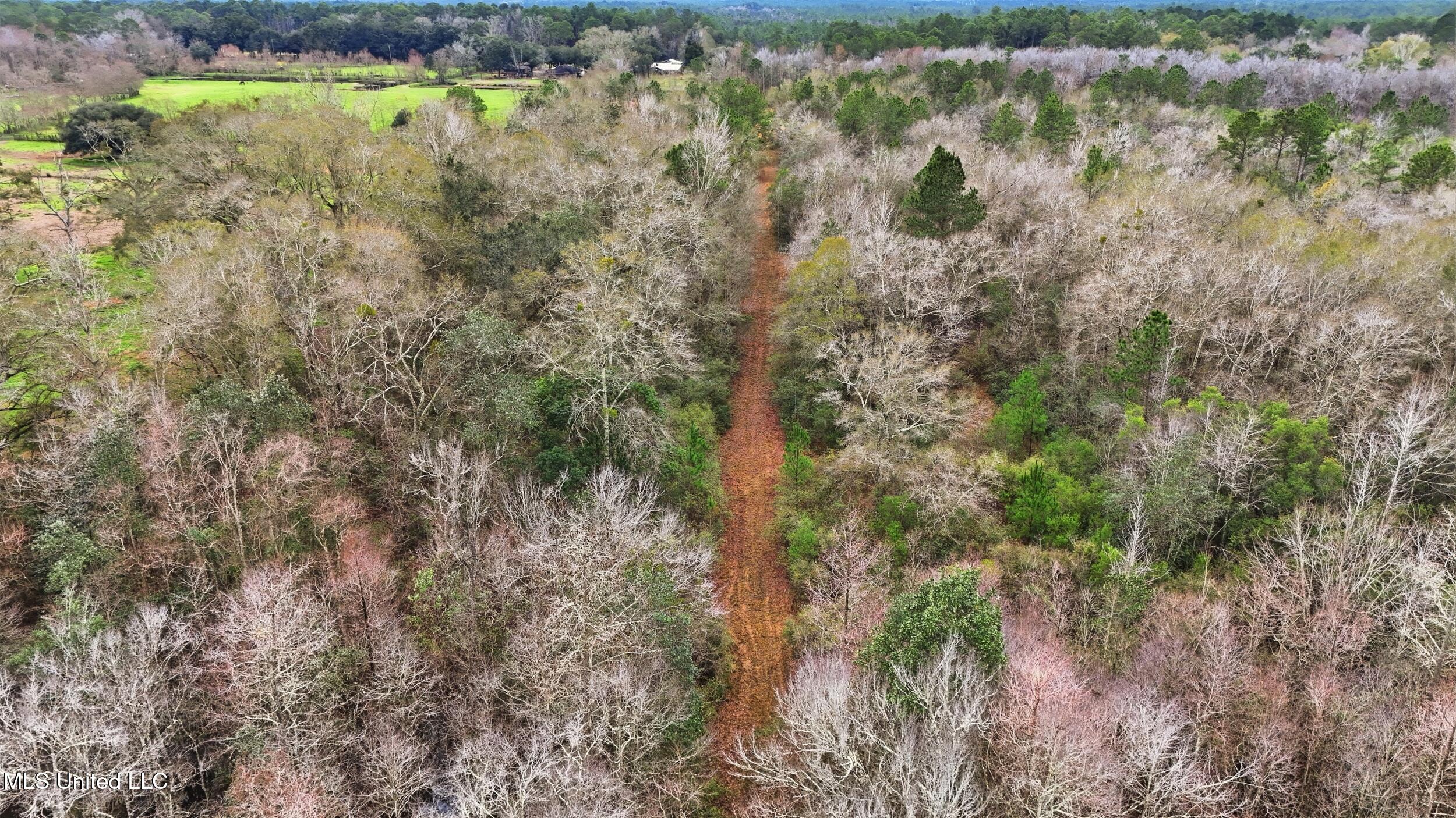 Saracennia Road Moss Point, MS 39562 - Photo 13 of 41 13_saracennia rd, moss point_064_camprom