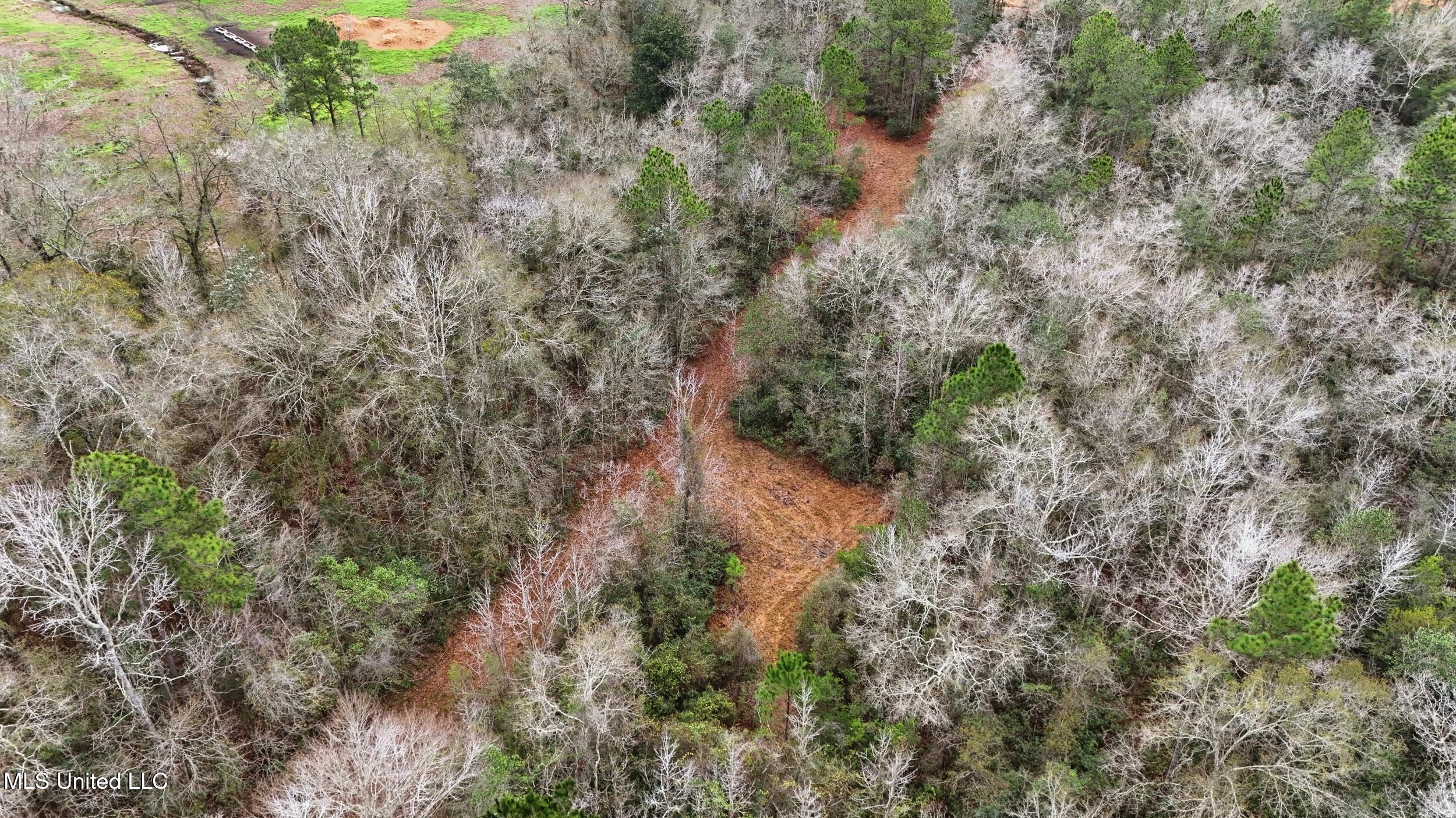 Saracennia Road Moss Point, MS 39562 - Photo 14 of 41 14_saracennia rd, moss point_067_camprom