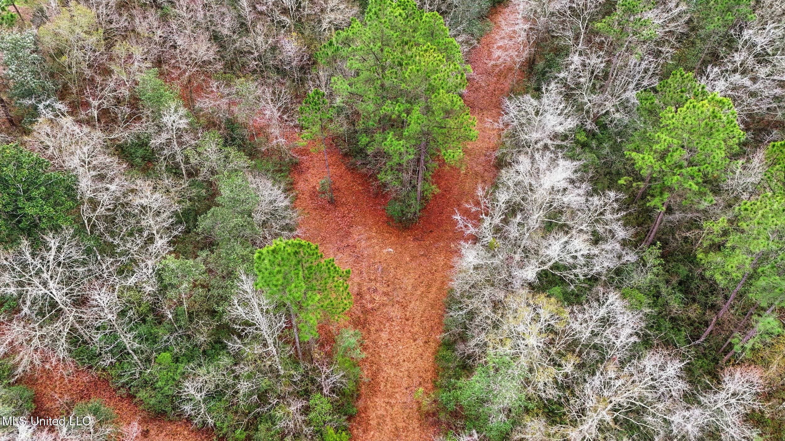 Saracennia Road Moss Point, MS 39562 - Photo 15 of 41 15_saracennia rd, moss point_070_camprom