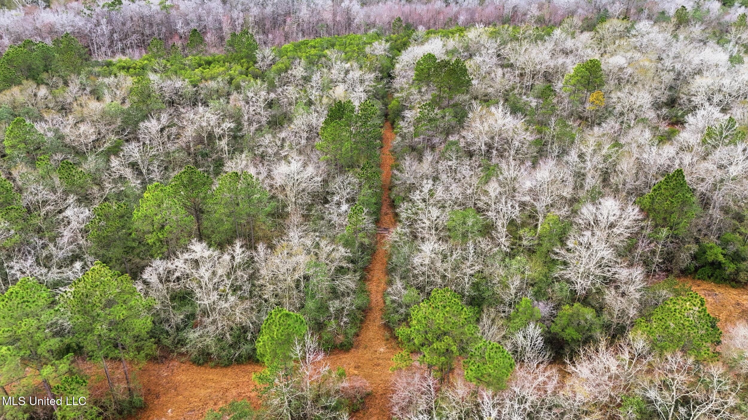 Saracennia Road Moss Point, MS 39562 - Photo 18 of 41 18_saracennia rd, moss point_079_camprom