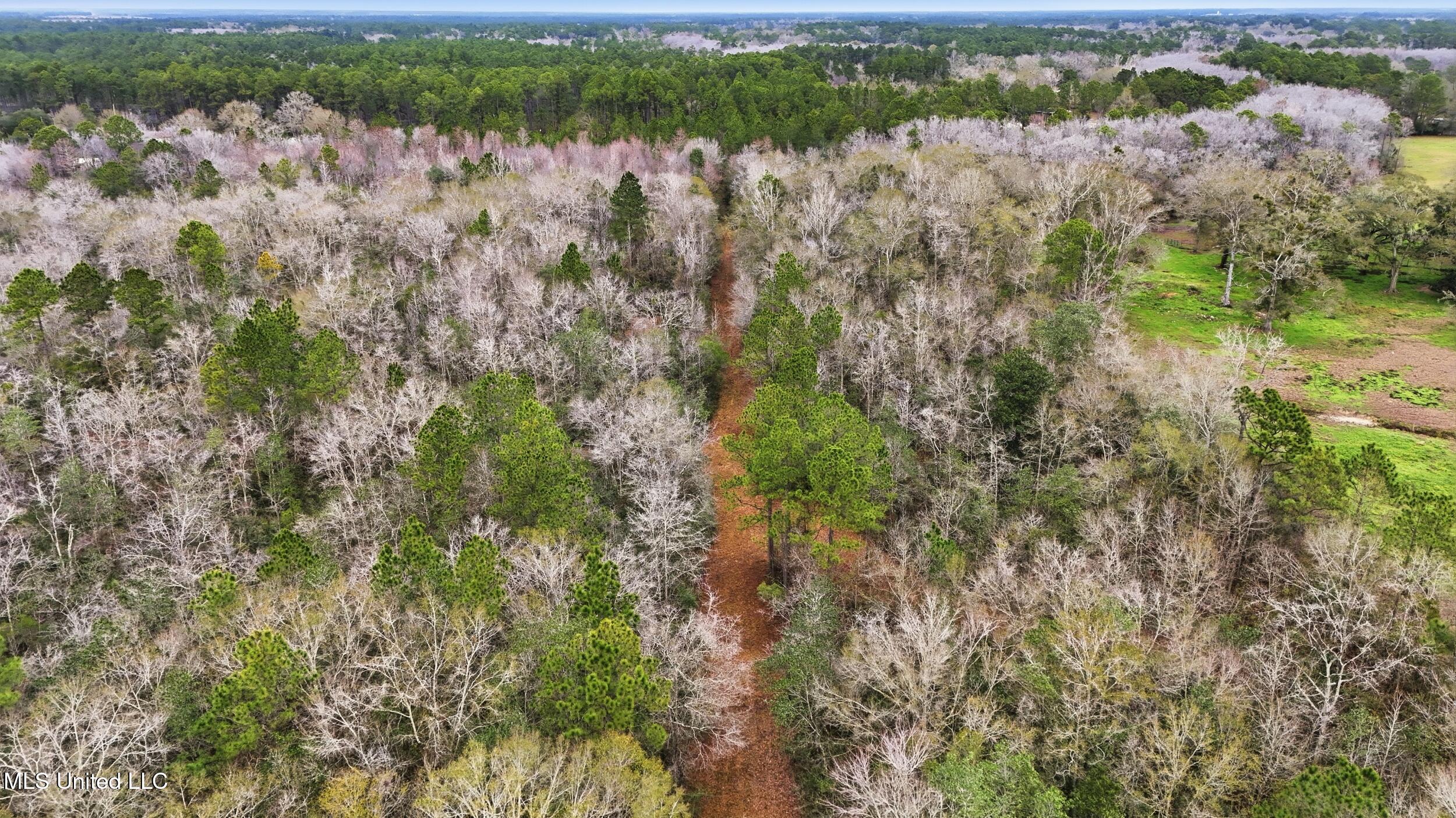 Saracennia Road Moss Point, MS 39562 - Photo 20 of 41 20_saracennia rd, moss point_085_camprom