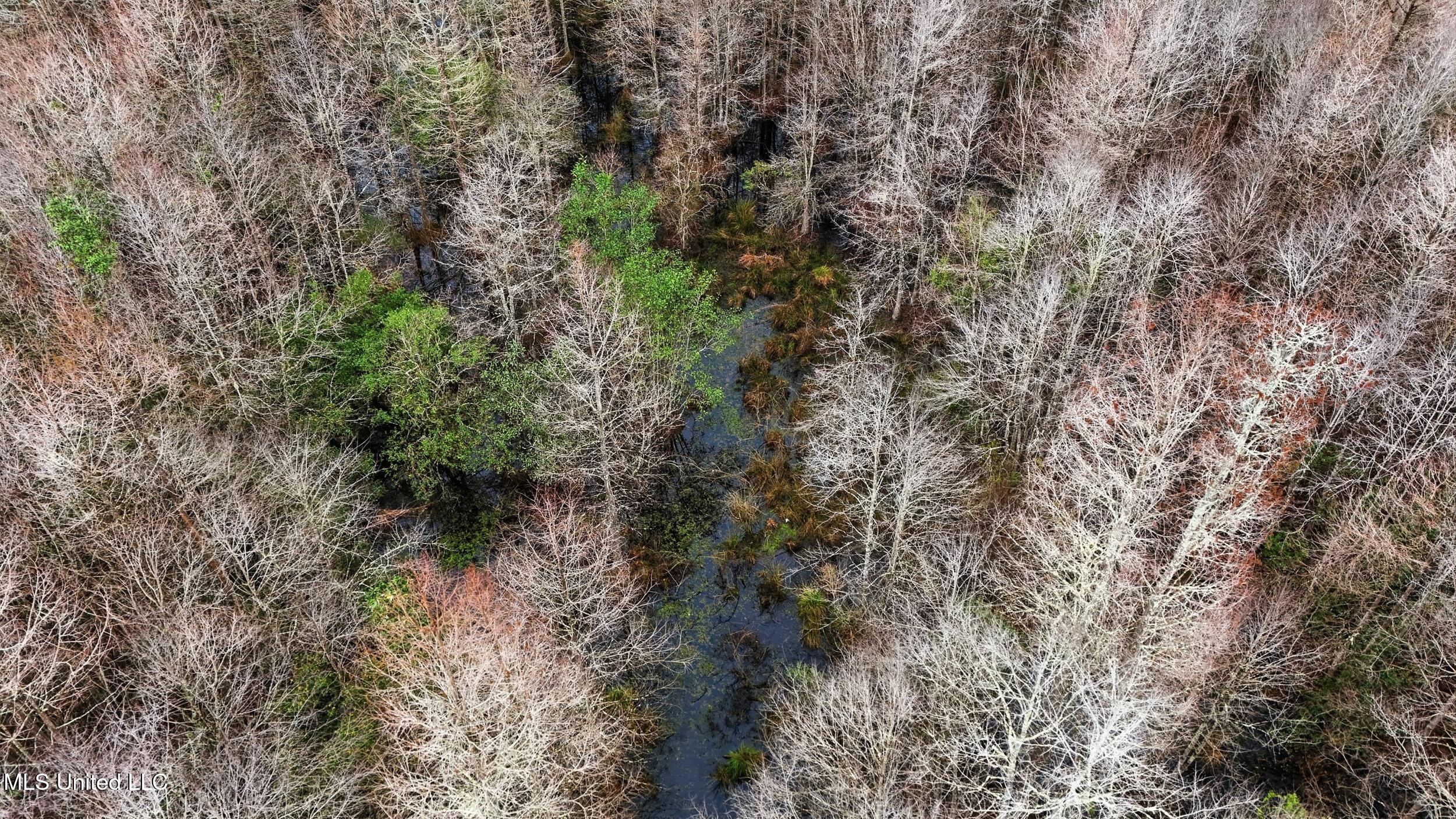 Saracennia Road Moss Point, MS 39562 - Photo 22 of 41 22_saracennia rd, moss point_091_camprom