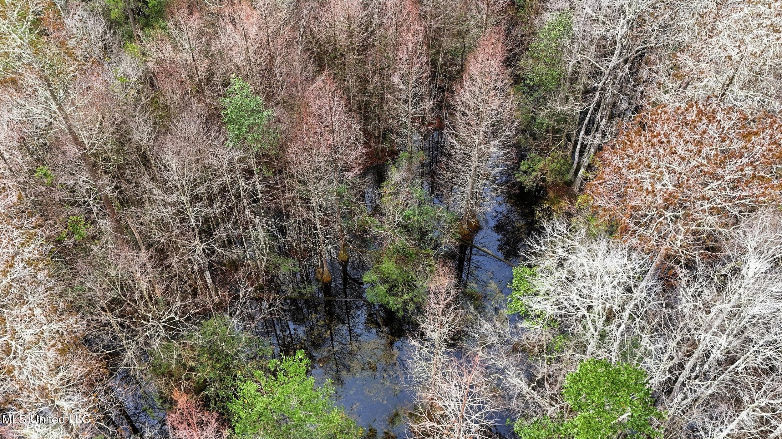 Saracennia Road Moss Point, MS 39562 - Photo 23 of 41 23_saracennia rd, moss point_094_camprom