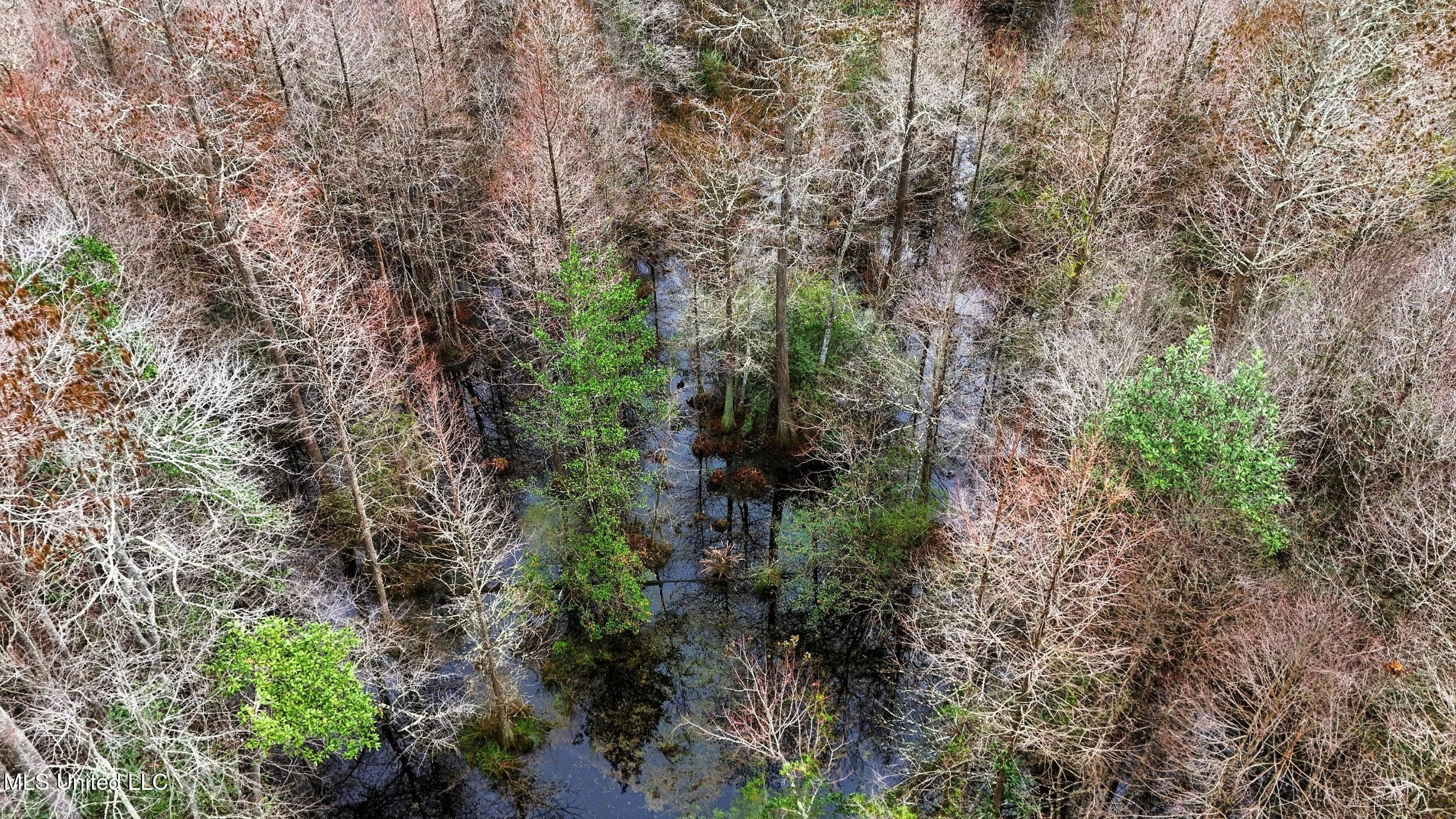 Saracennia Road Moss Point, MS 39562 - Photo 24 of 41 24_saracennia rd, moss point_097_camprom