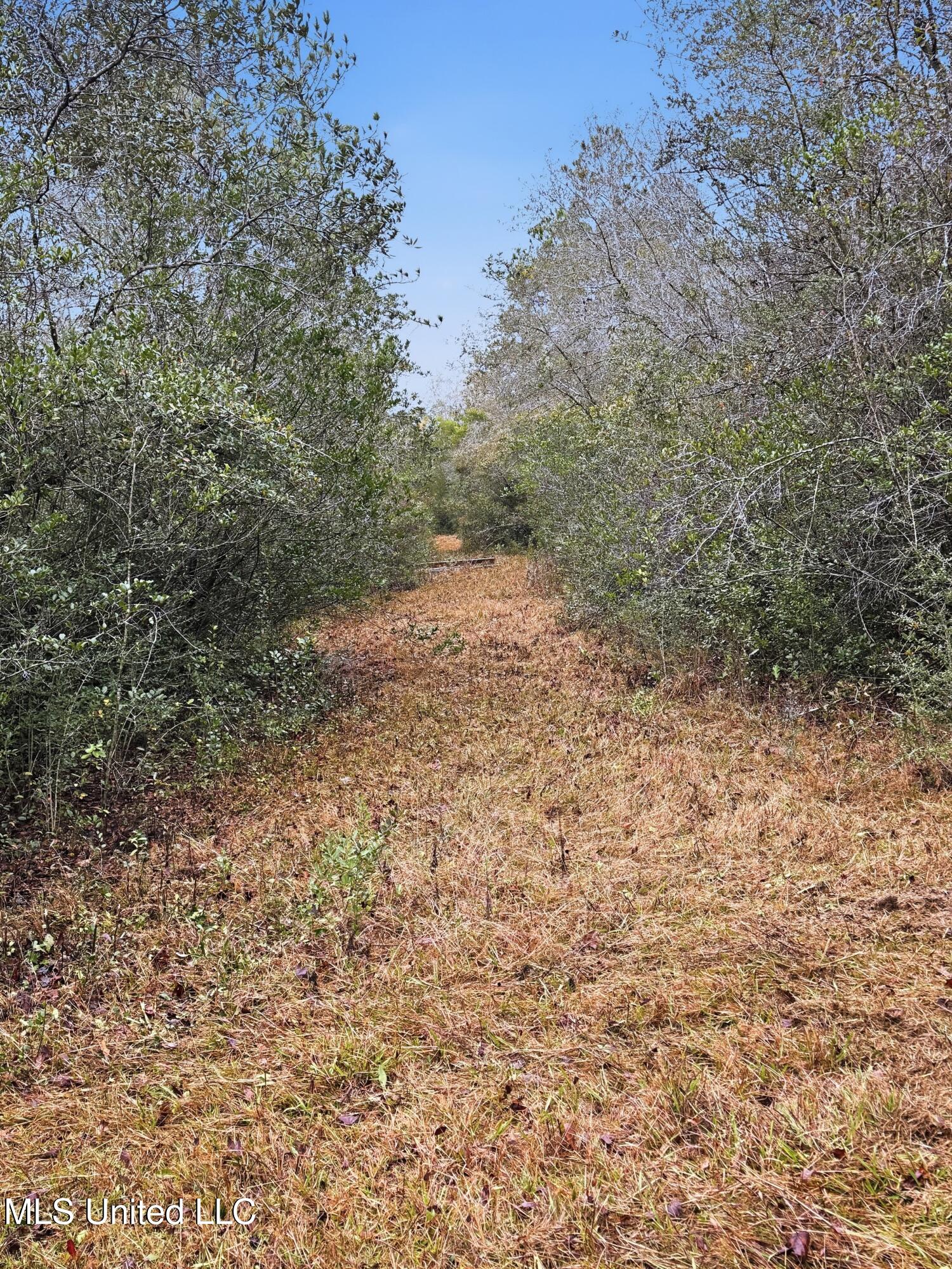 Saracennia Road Moss Point, MS 39562 - Photo 26 of 41 26_saracennia rd, moss point_001_clientp