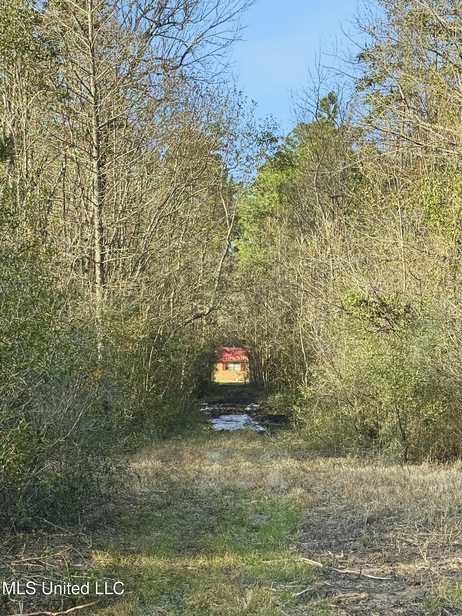 Saracennia Road Moss Point, MS 39562 - Photo 27 of 41 27_saracennia rd, moss point_003_clientp