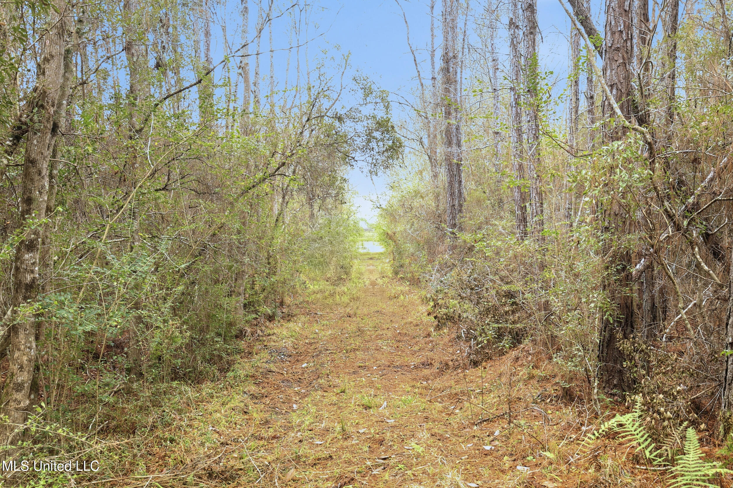 Saracennia Road Moss Point, MS 39562 - Photo 28 of 41 28_saracennia rd, moss point_004_camprom