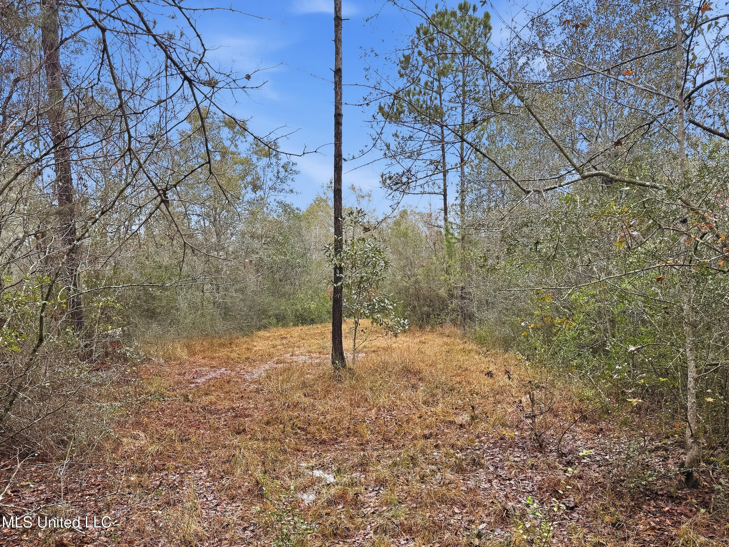 Saracennia Road Moss Point, MS 39562 - Photo 29 of 41 29_saracennia rd, moss point_004_clientp