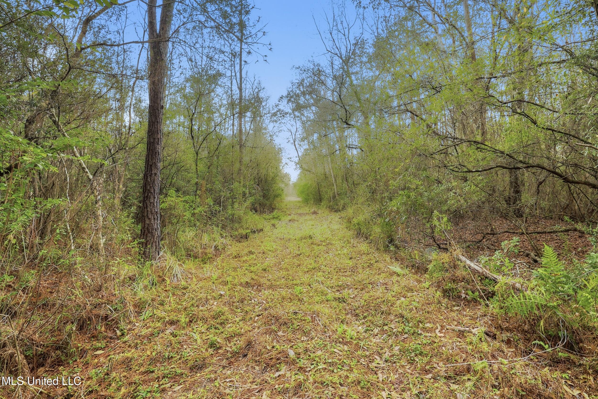 Saracennia Road Moss Point, MS 39562 - Photo 30 of 41 30_saracennia rd, moss point_012_camprom