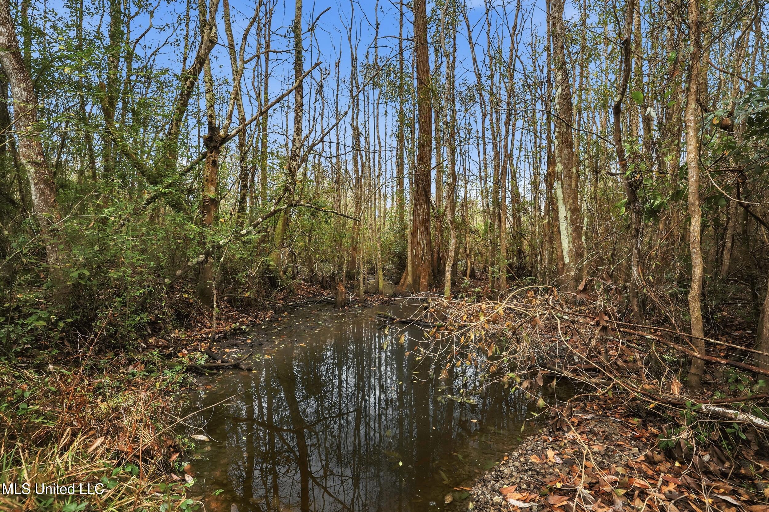 Saracennia Road Moss Point, MS 39562 - Photo 31 of 41 31_saracennia rd, moss point_016_camprom