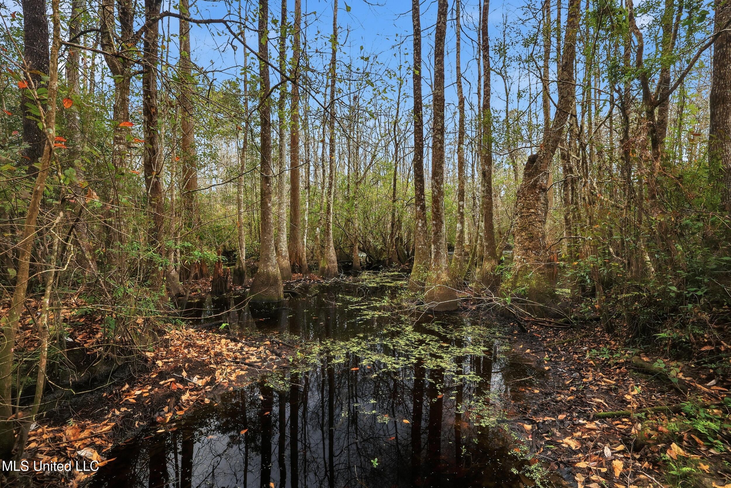 Saracennia Road Moss Point, MS 39562 - Photo 32 of 41 32_saracennia rd, moss point_021_camprom