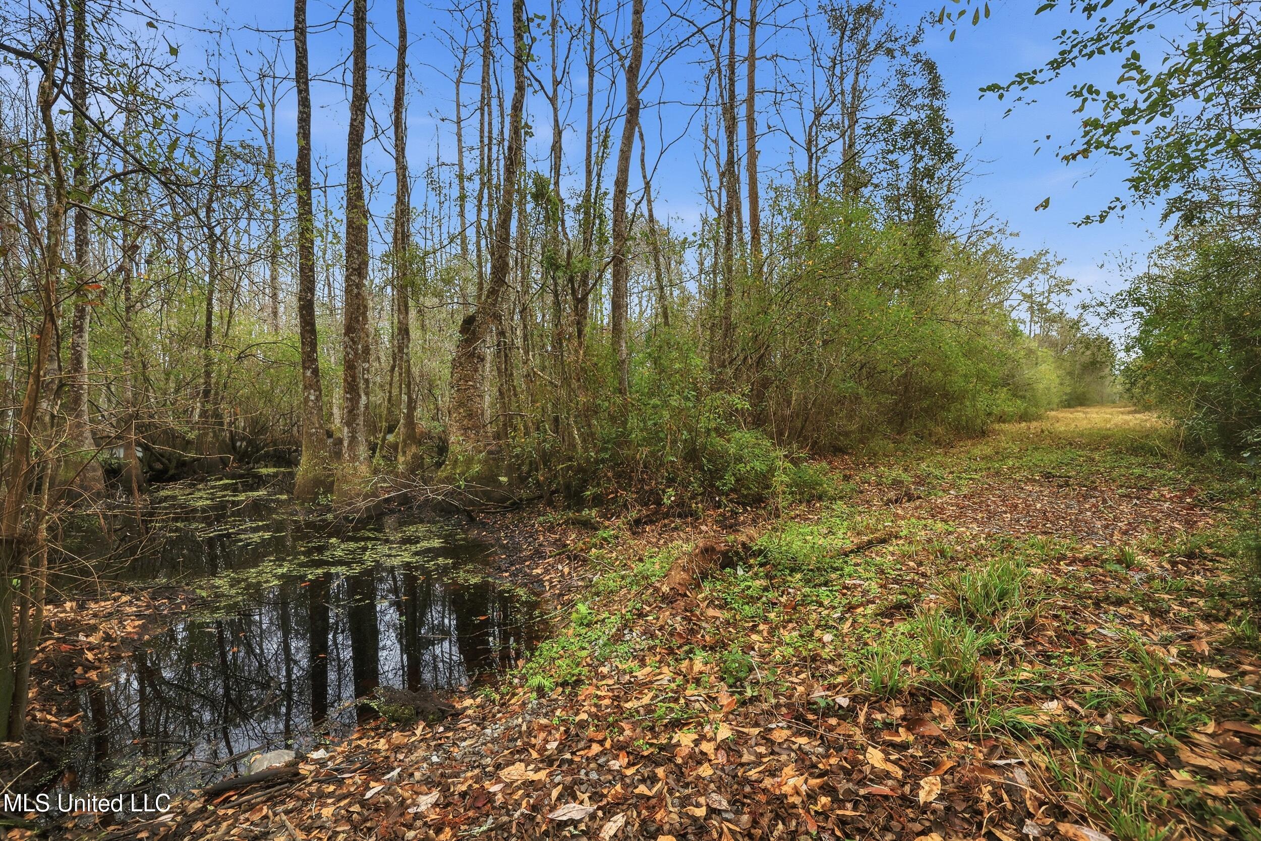 Saracennia Road Moss Point, MS 39562 - Photo 33 of 41 33_saracennia rd, moss point_026_camprom