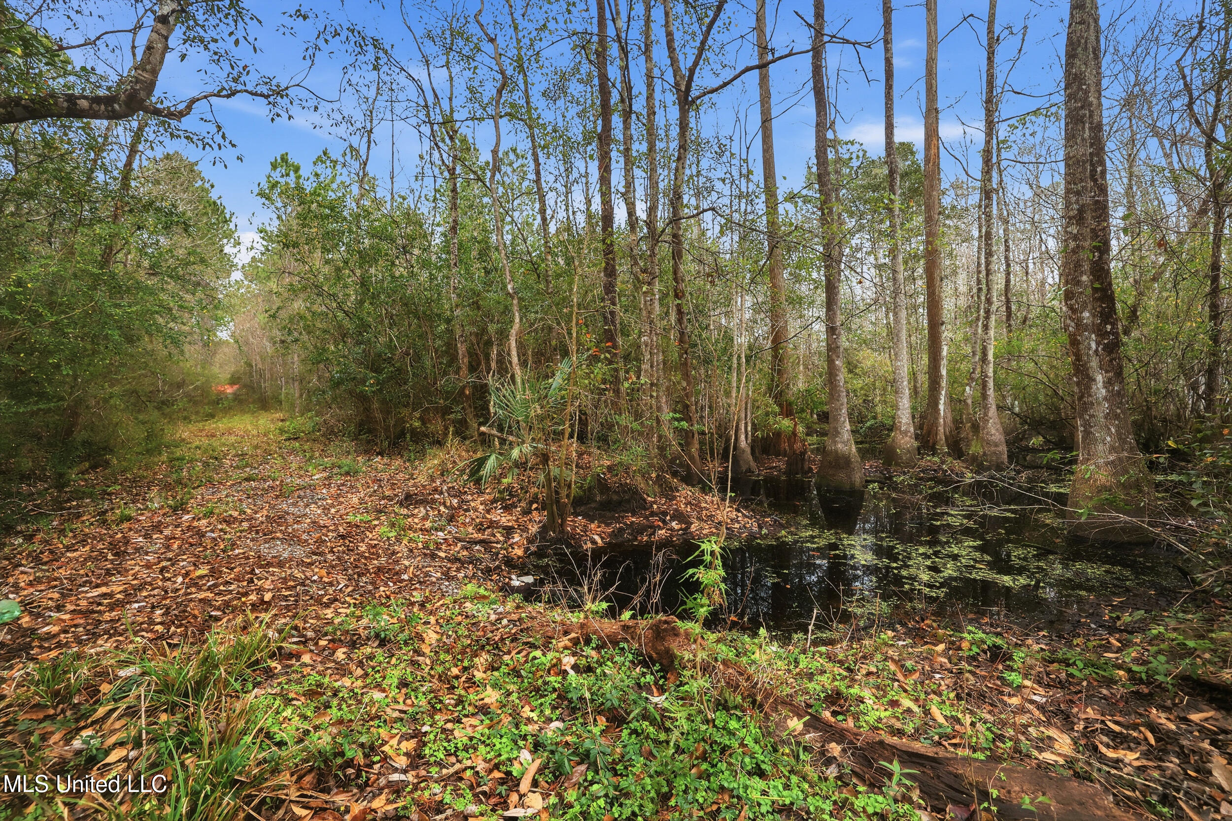 Saracennia Road Moss Point, MS 39562 - Photo 34 of 41 34_saracennia rd, moss point_031_camprom