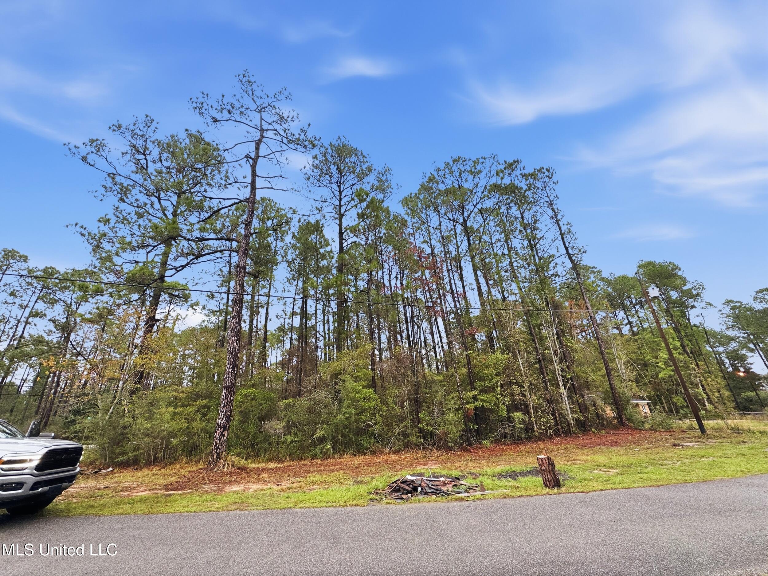 Saracennia Road Moss Point, MS 39562 - Photo 35 of 41 35_saracennia rd, moss point_005_clientp