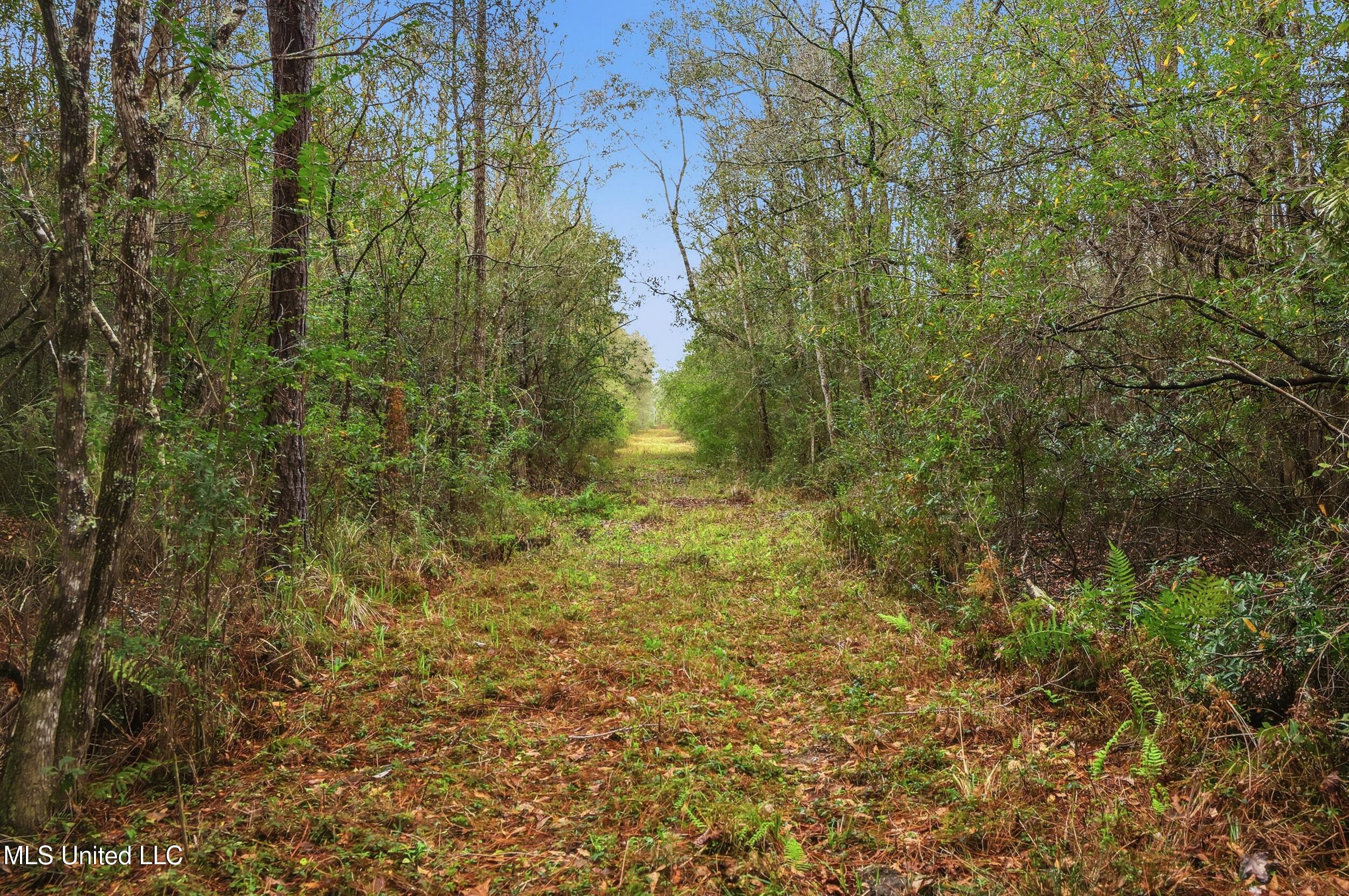 Saracennia Road Moss Point, MS 39562 - Photo 36 of 41 36_saracennia rd, moss point_006_camprom