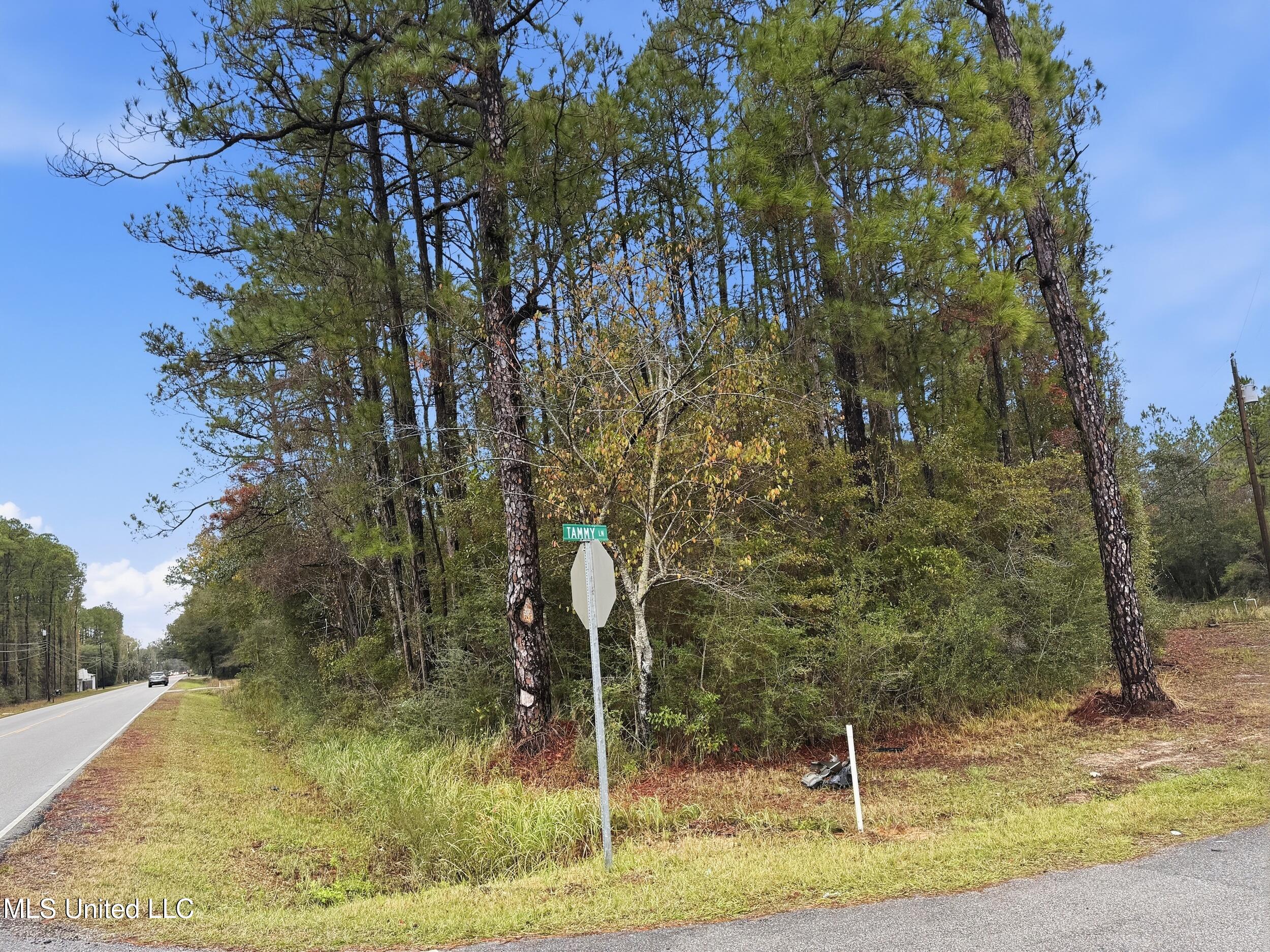 Saracennia Road Moss Point, MS 39562 - Photo 37 of 41 38_saracennia rd, moss point_008_clientp