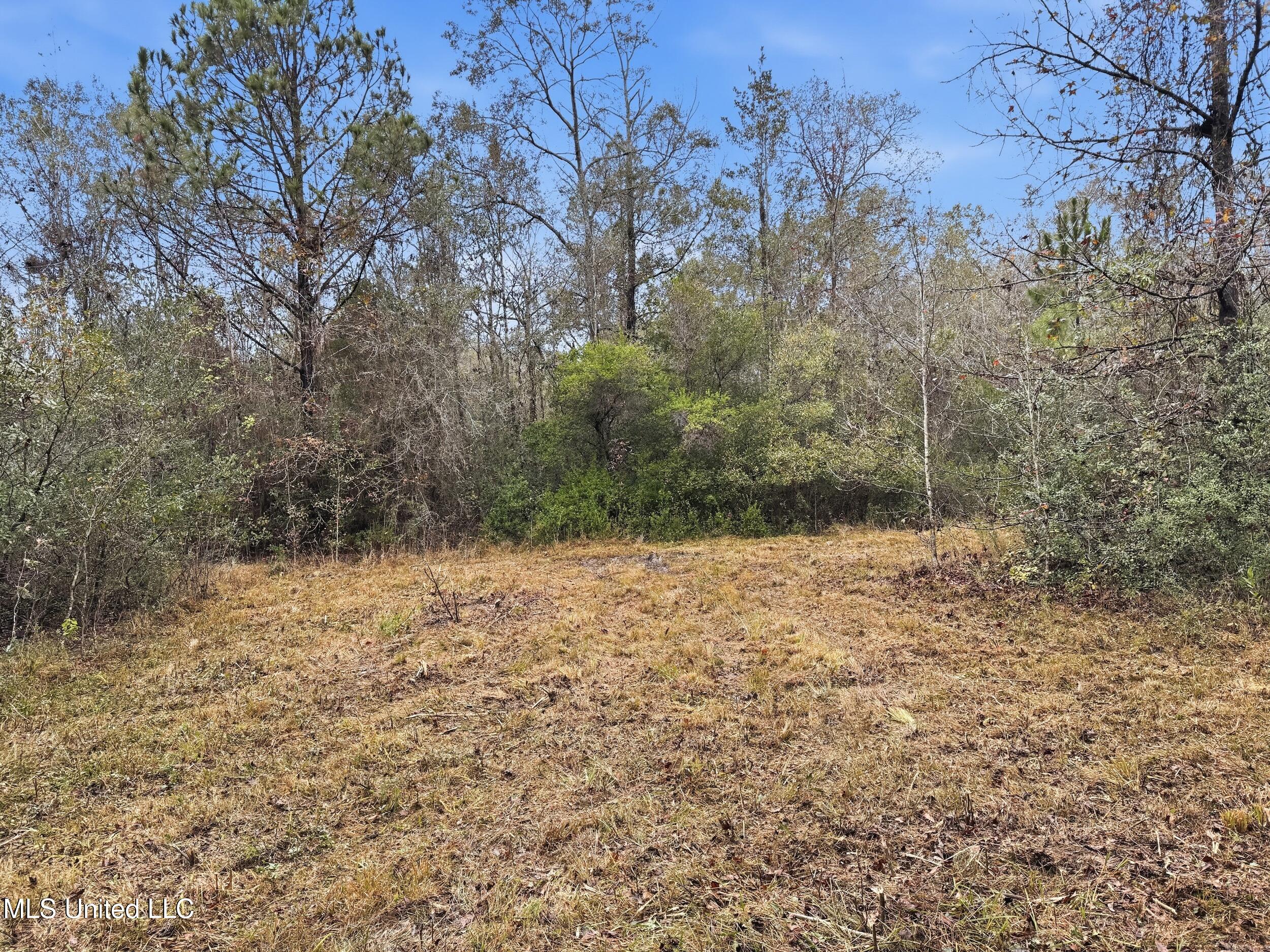 Saracennia Road Moss Point, MS 39562 - Photo 38 of 41 39_saracennia rd, moss point_010_clientp