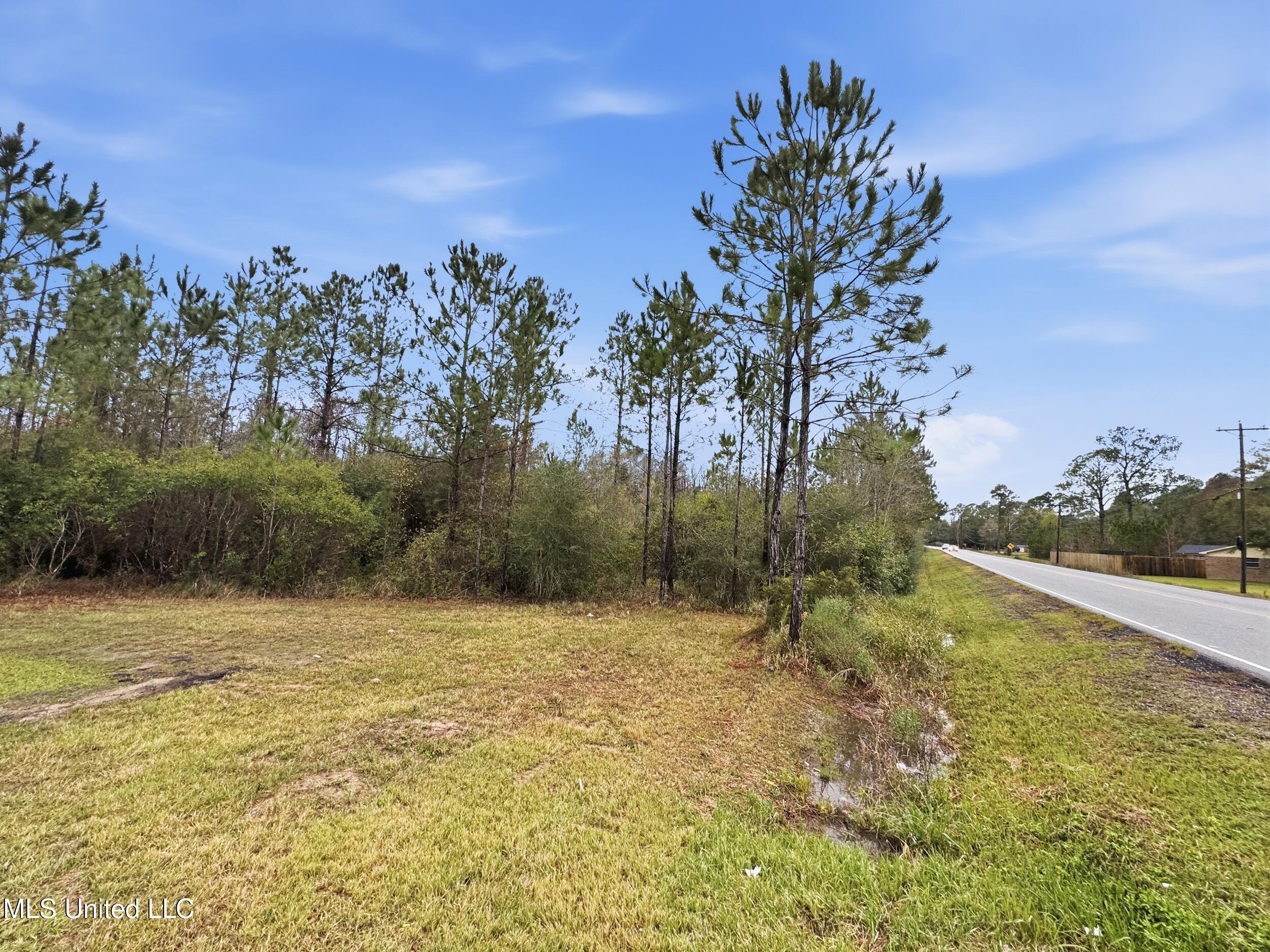 Saracennia Road Moss Point, MS 39562 - Photo 39 of 41 40_saracennia rd, moss point_011_clientp