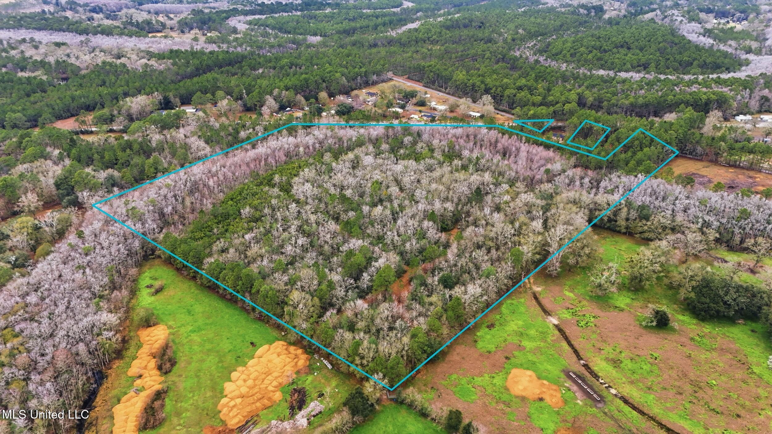 Saracennia Road Moss Point, MS 39562 - Photo 4 of 41 4_saracennia rd, moss point_046_camprome