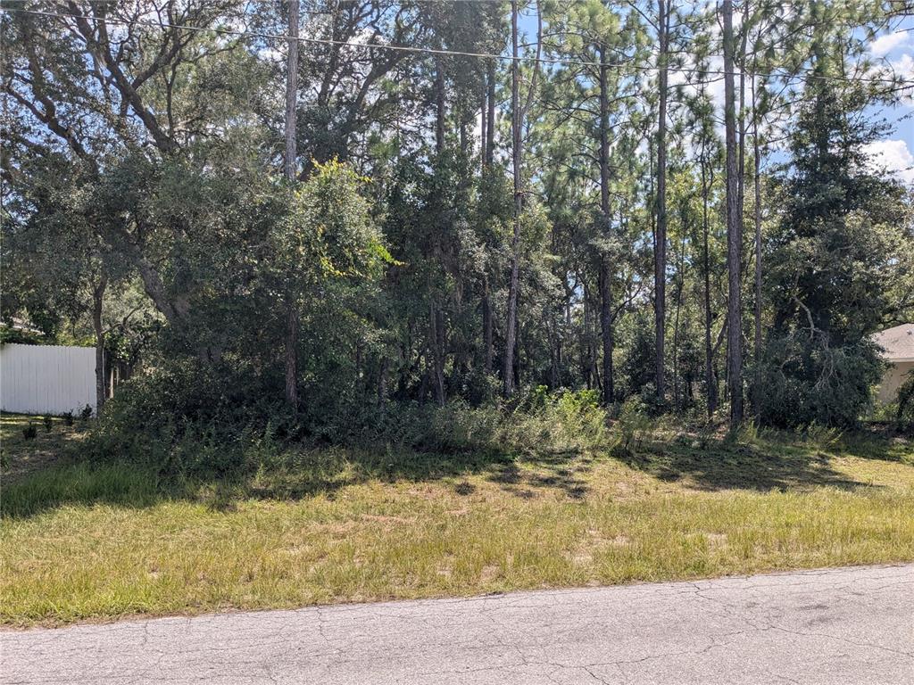 6886 Southwest 146th Ln Road Ocala, FL 34473 - Photo 1 of 1 Gallery Image 1