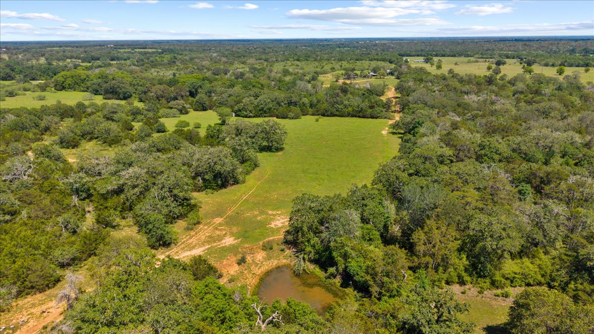 1648 Jeddo Road Rosanky, TX 78953 - Photo 16 of 19