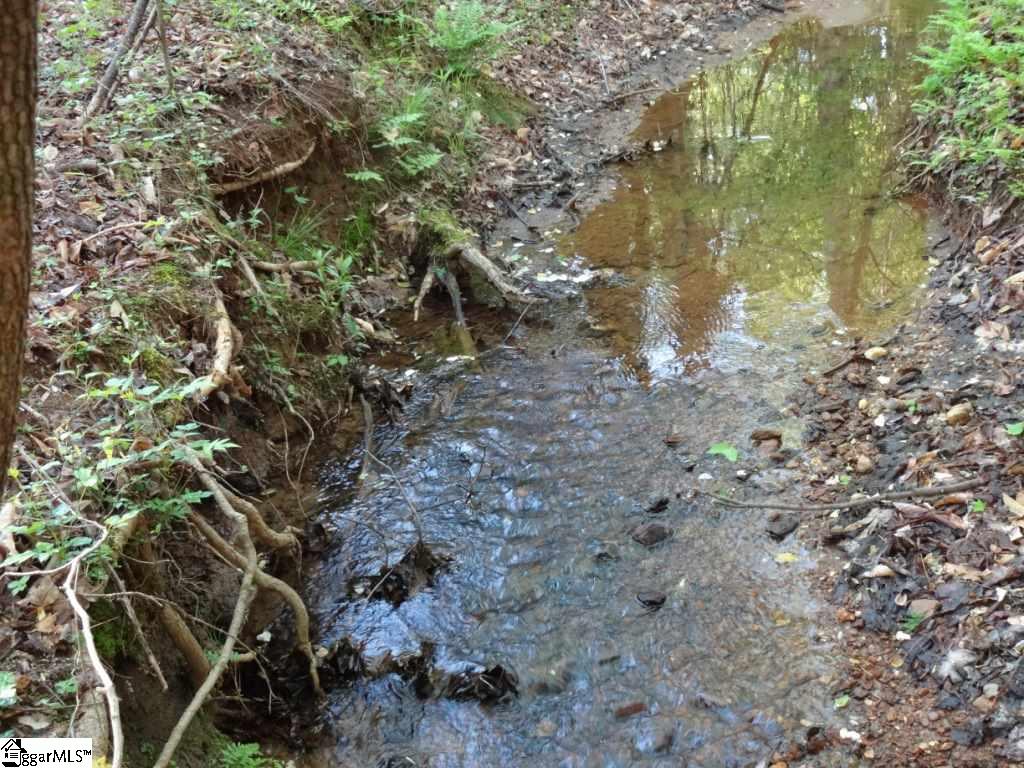 South Danzler Road Duncan, SC 29334 - Photo 21 of 31