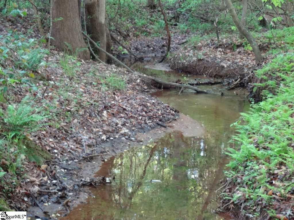 South Danzler Road Duncan, SC 29334 - Photo 22 of 31