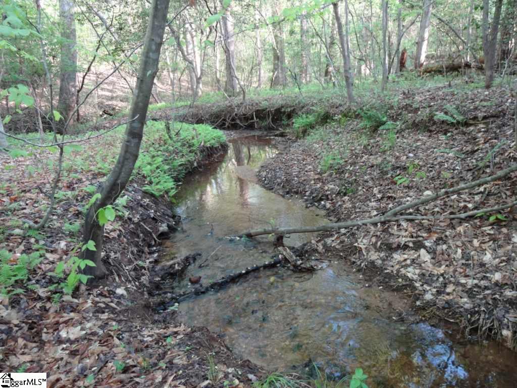 South Danzler Road Duncan, SC 29334 - Photo 24 of 31