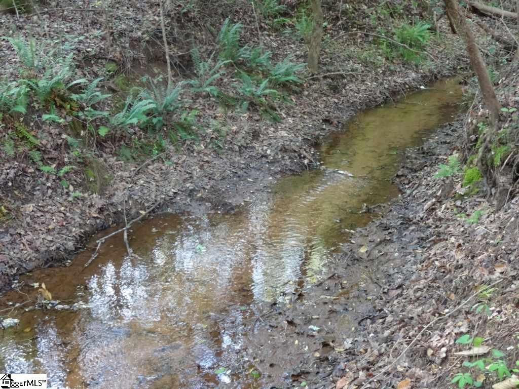 South Danzler Road Duncan, SC 29334 - Photo 25 of 31