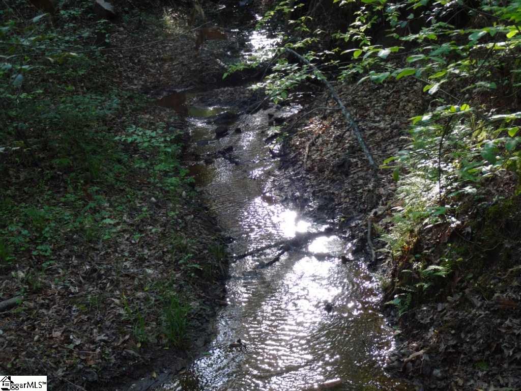 South Danzler Road Duncan, SC 29334 - Photo 26 of 31