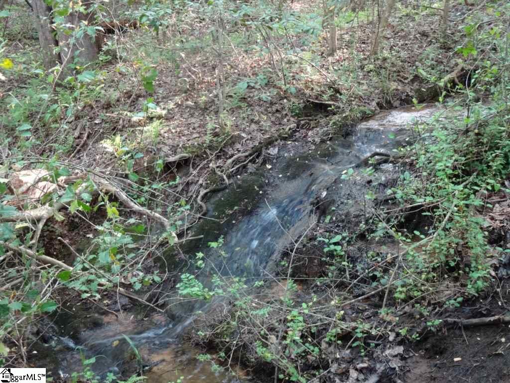 South Danzler Road Duncan, SC 29334 - Photo 29 of 31