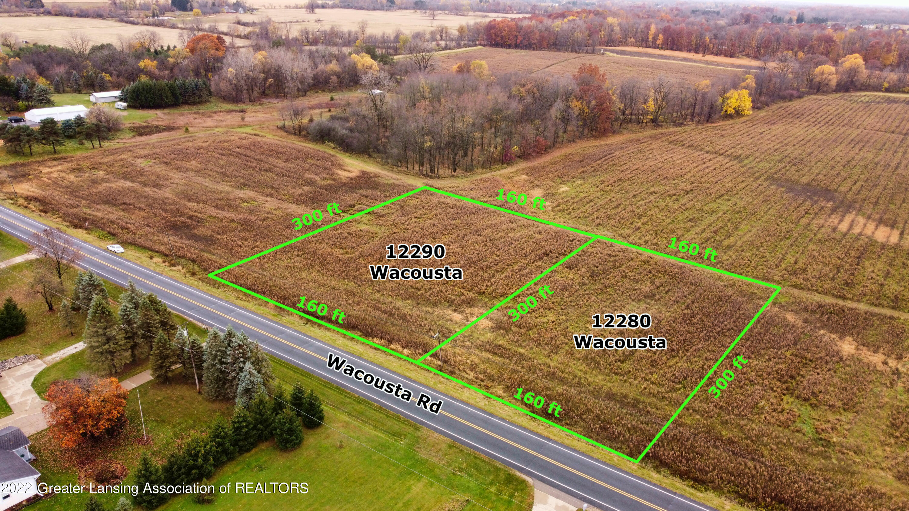 12280 South Wacousta Road Eagle, MI 48822 - Photo 2 of 10 12290 and 12280 from the east