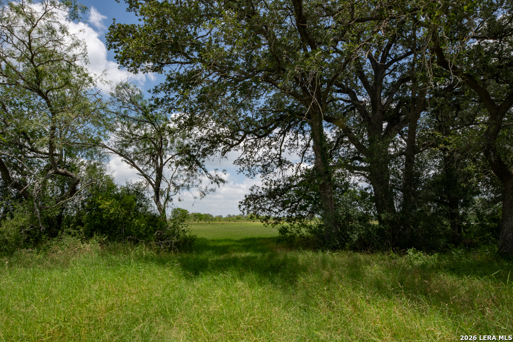 1393 Fox Trotter Road Seguin, TX 78155 - Photo 22 of 46