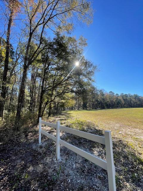 9 Fish Road Ridgeville, SC 29472 - Photo 11 of 26 IMG_6261