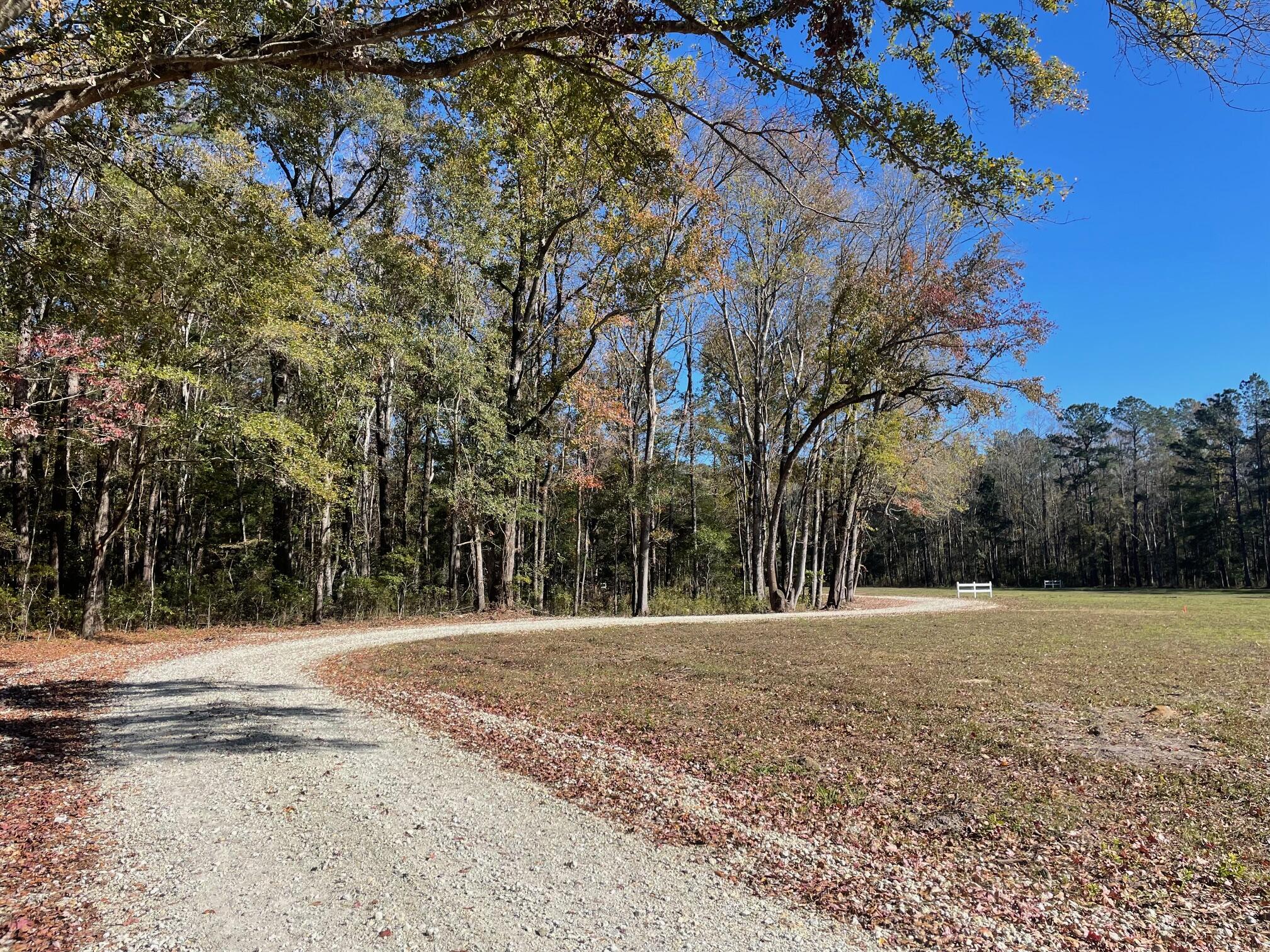 9 Fish Road Ridgeville, SC 29472 - Photo 5 of 26 IMG_6190