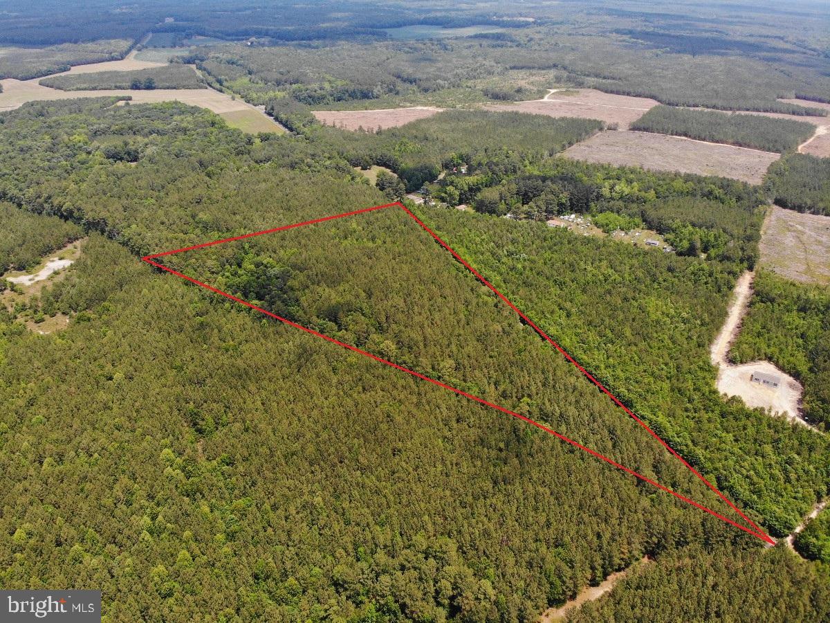 1 Salisbury Road Spring Grove, VA 23881 - Photo 4 of 18