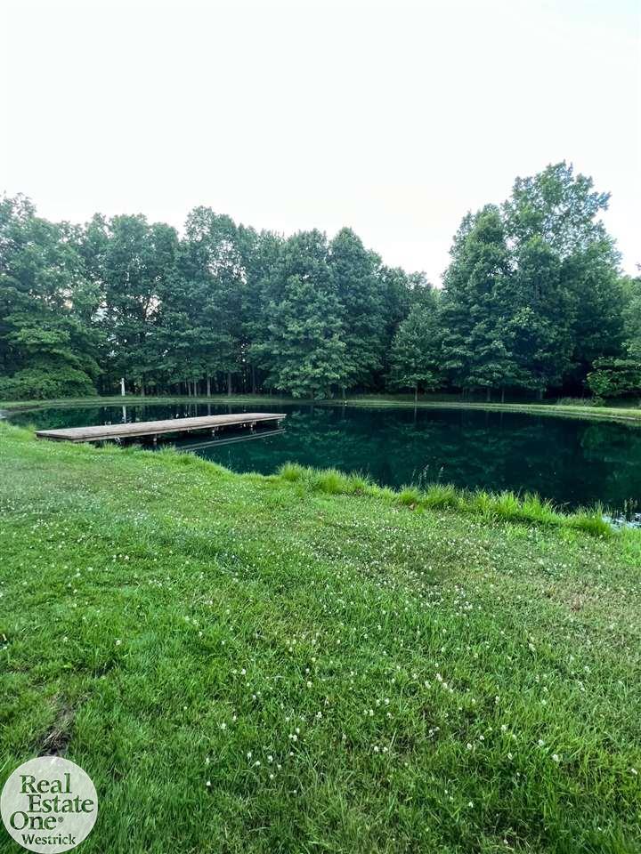 7818 Springborn Road Casco, MI 48064 - Photo 45 of 59 View From Patio