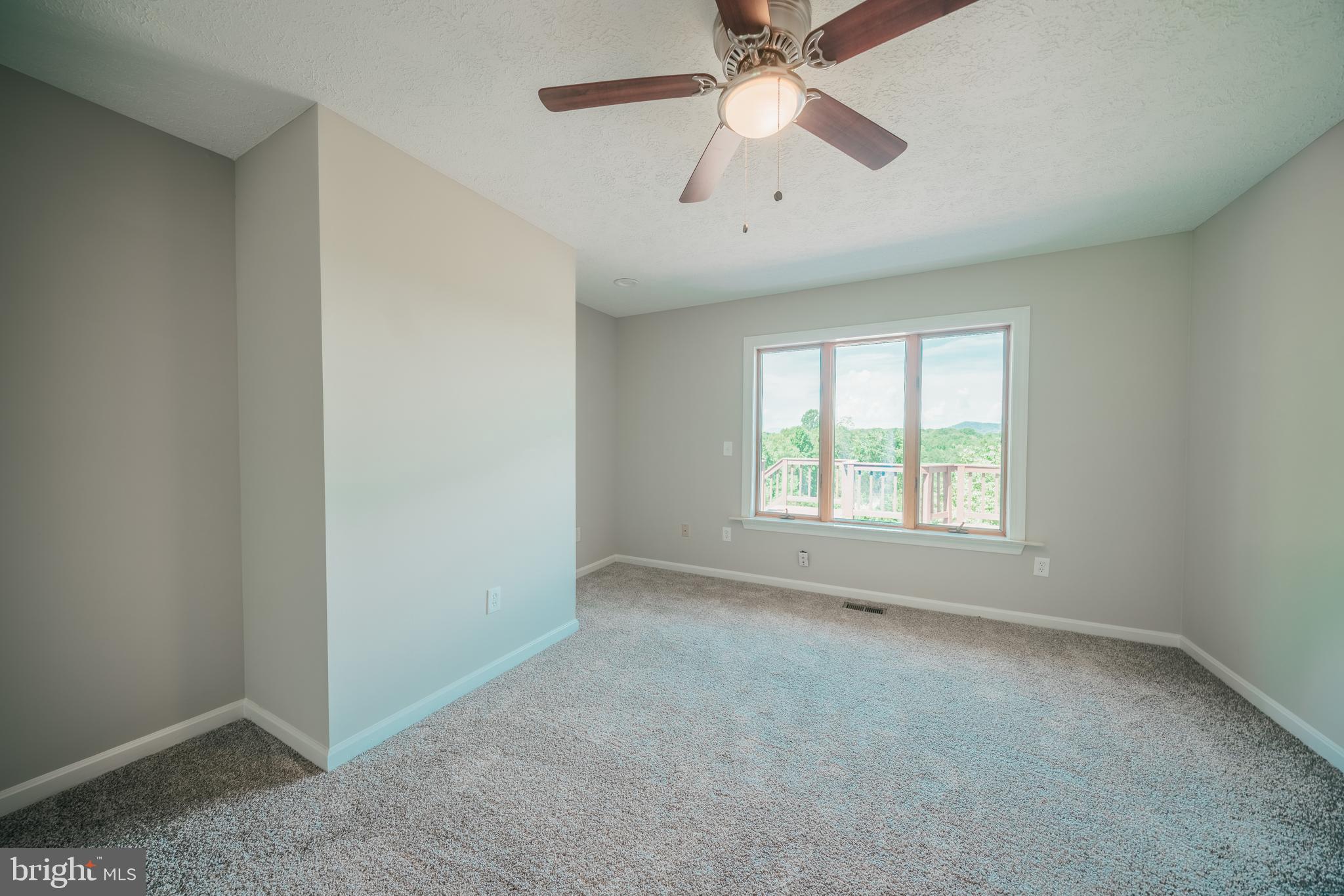 23562 Cedar Ridge Road Rapidan, VA 22733 - Photo 22 of 34 Additional Bedroom with mountain views!