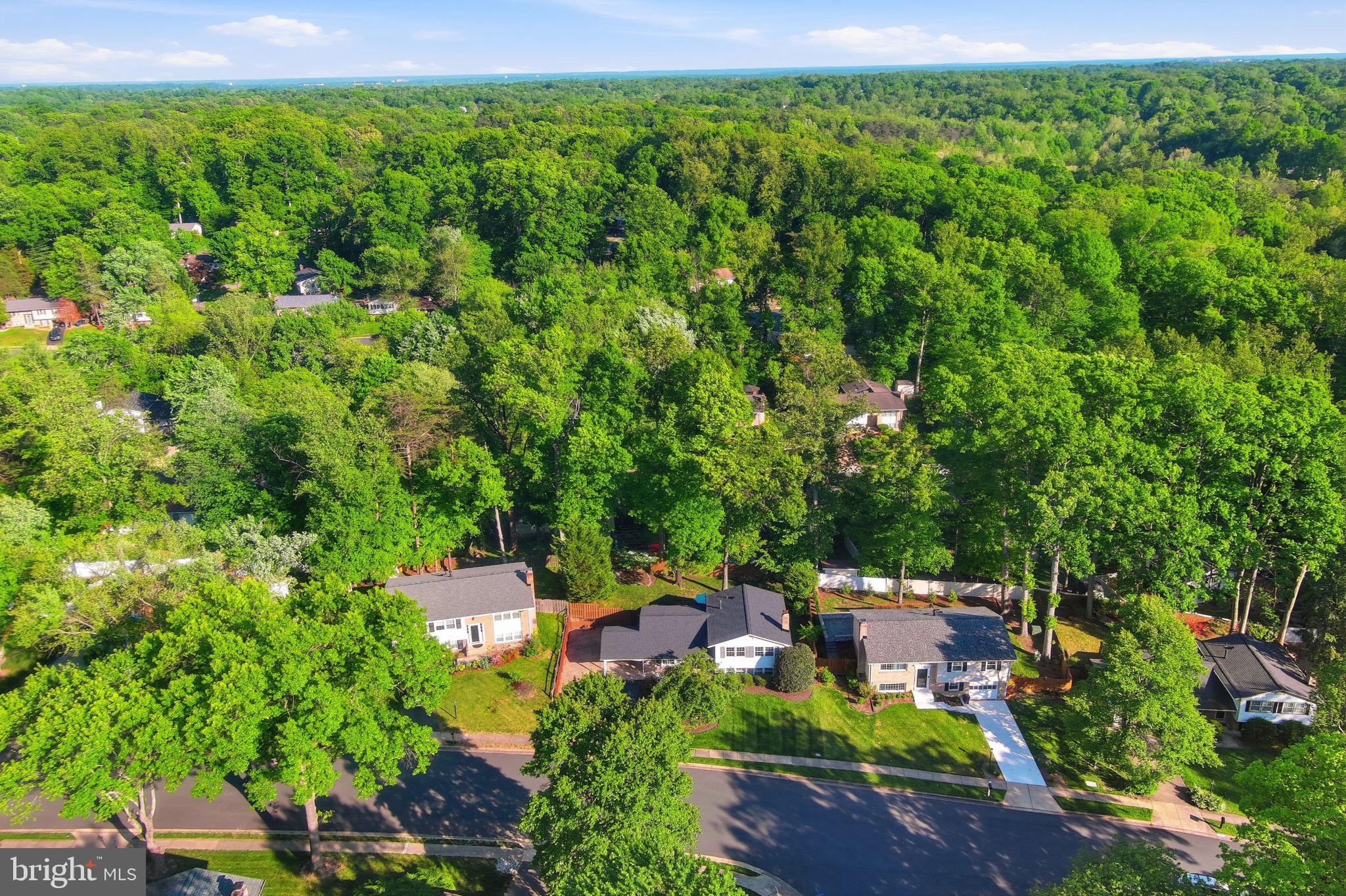 7221 Galgate Drive Springfield, VA 22153 - Photo 55 of 56
